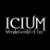 company from Finland ICIUM registers TM in Russia